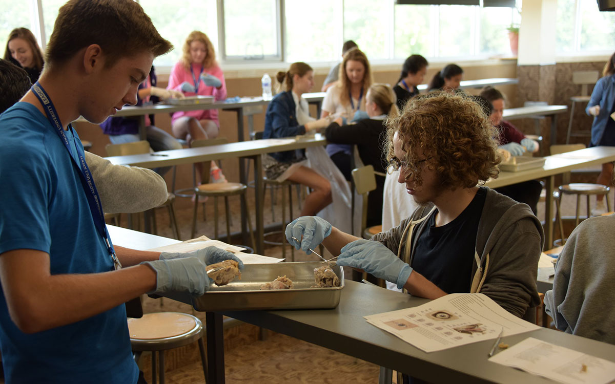 Kids learning at ACES camp.