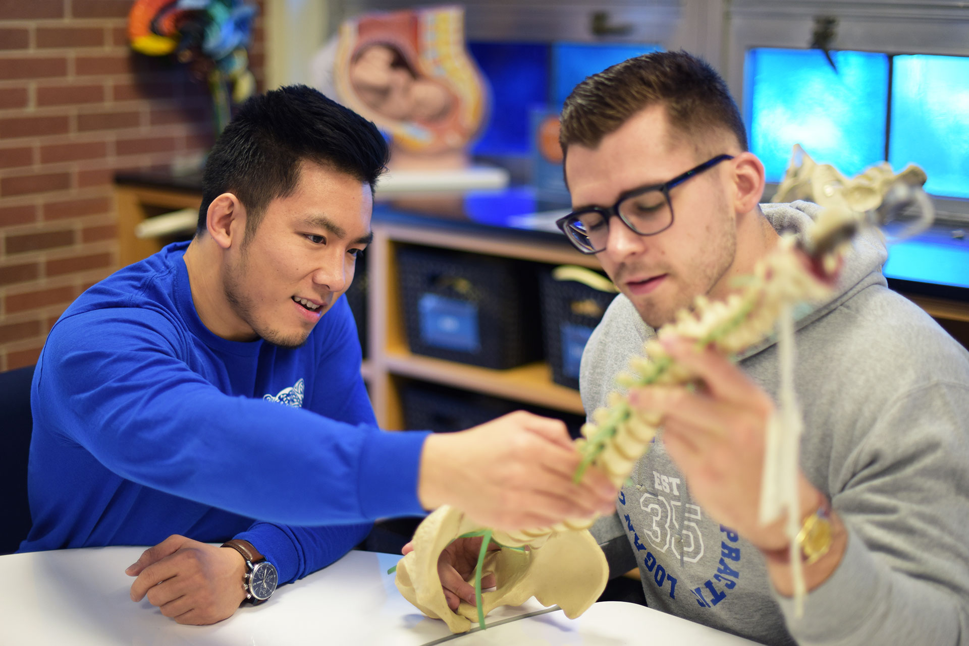Two chiropractic students studying in a hands-on environment.