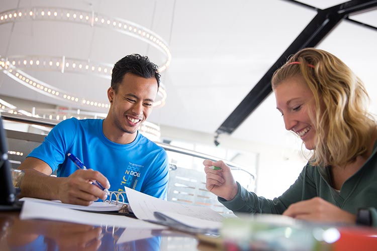 Two students studying at library.