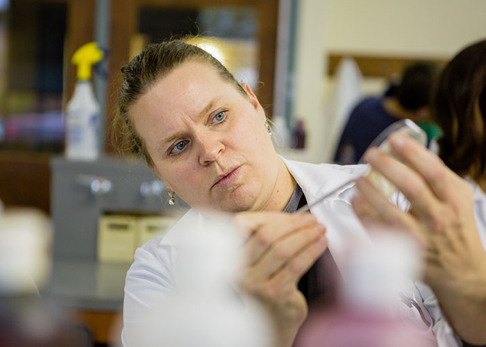 生命科学学士学位s