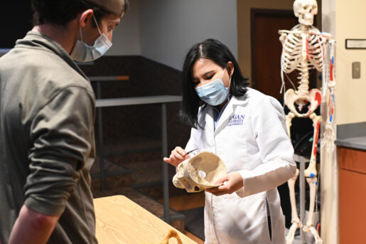 Assistant Professor & 卫生专业教育博士 student Dr. Yuan Gao shows a skull to a student 在 威尼斯人app's anatomy lab