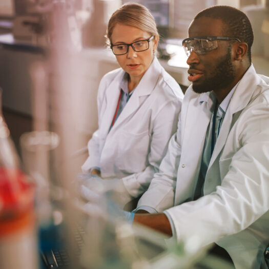 Students learning in a hands-on lab environment.
